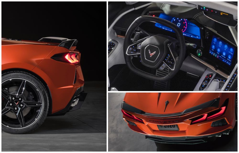 stingray