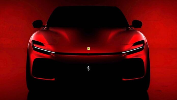 purosangre