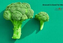 Broccoli Is Good For Men’s Health Broccoli Is Good For Men’s Health